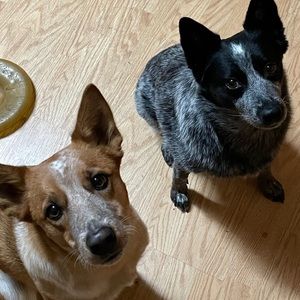 Meet your Posher, Karin